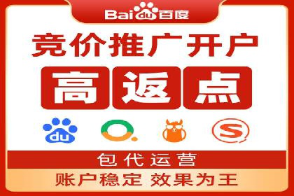 百度推广代运营公司成功案例解析